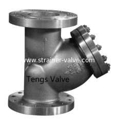Stainless Steel SS316 Y Type Strainer Cast A351-CF8M Flanged End Strainers with SS Mesh
