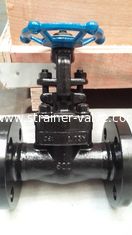 Forge steel flange welded rising stem gate valve with handwheel