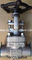 ANSI 800lbs forged stainless steel F316 npt/sw ends gate valve