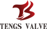 Yongjia Tengs Valve Co.,Ltd.