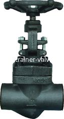 Forged Steel Sw Ends Globe Valve A105 N