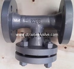 ANSI & DIN Standards Flanged Welded Body Steel Tee Type Strainer