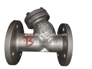 Flanged Wye Strainer Stainless Steel A351 CF3M 2 1/2 Inch Y Strainer 150 LB Cast Steel SS316L