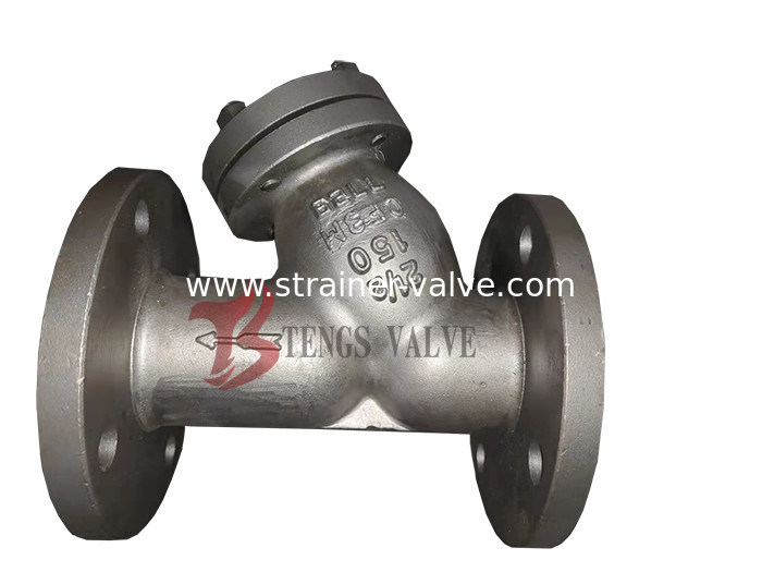 Flanged Wye Strainer Stainless Steel A351 CF3M 2 1/2 Inch Y Strainer