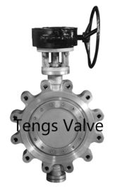 Cast Stainless Steel Eccentric LUG Type Manual Gearbox Butterfly Valve