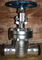 API Carbon Steel BW Industrial Gate Valve Butt Welded Ends ANSI Class 300Lbs-1500Lbs