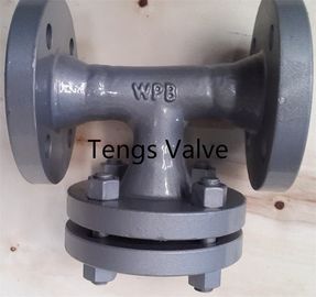 ANSI & DIN Standards Flanged Welded Body Steel Tee Type Strainer