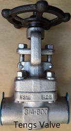 ANSI 800Lbs Forged Stainless Steel F316 Npt/ Sw Ends Gate Valve