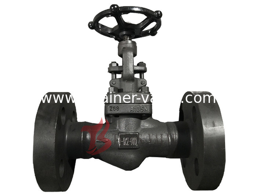 Flanged Ends Connection Forged Steel Valve 1 Trim Material Carbon Steel A105 N Body