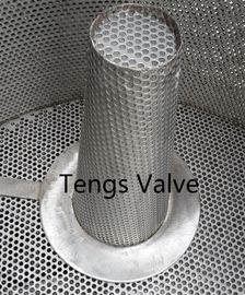 Stainless steel fabricated basket type temperary strainer & cone hat filter
